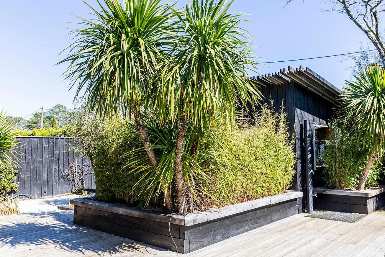 Beach House Lège-Cap-Ferret Exterior foto
